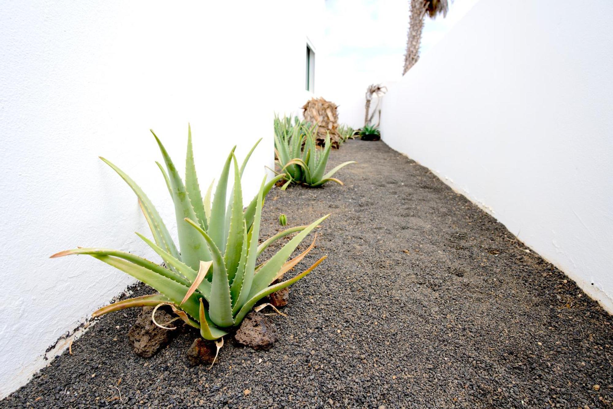 Villas Kalendra, Rofe, Lanzarote Guatiza Exterior photo